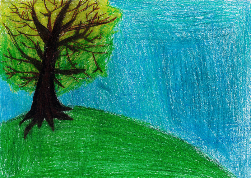 6th Grade Winner